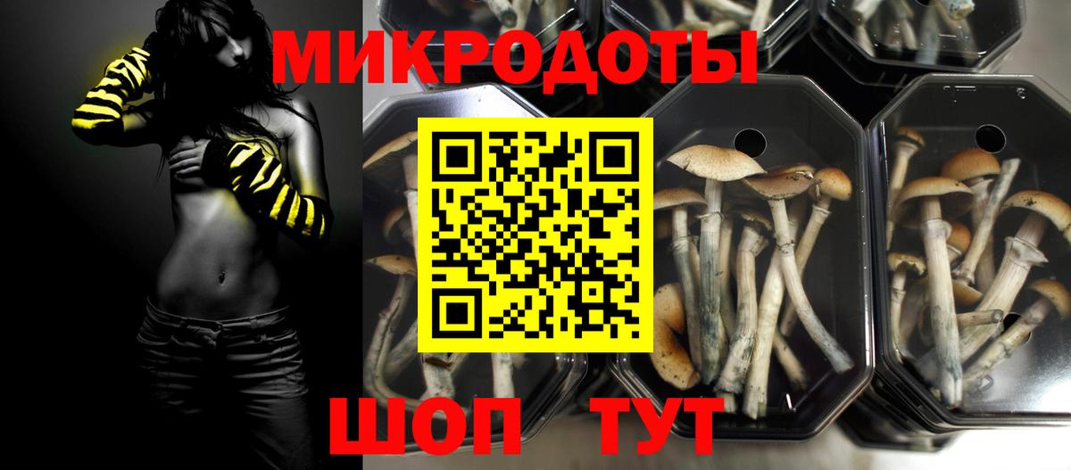 Галлюциногенные грибы мицелий Оренбург