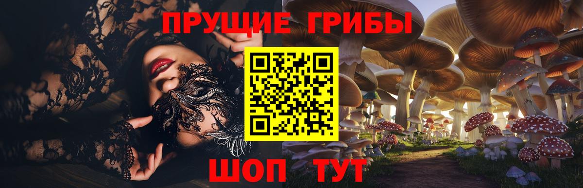 Галлюциногенные грибы прущие грибы  Вход с VPN  Оренбург 